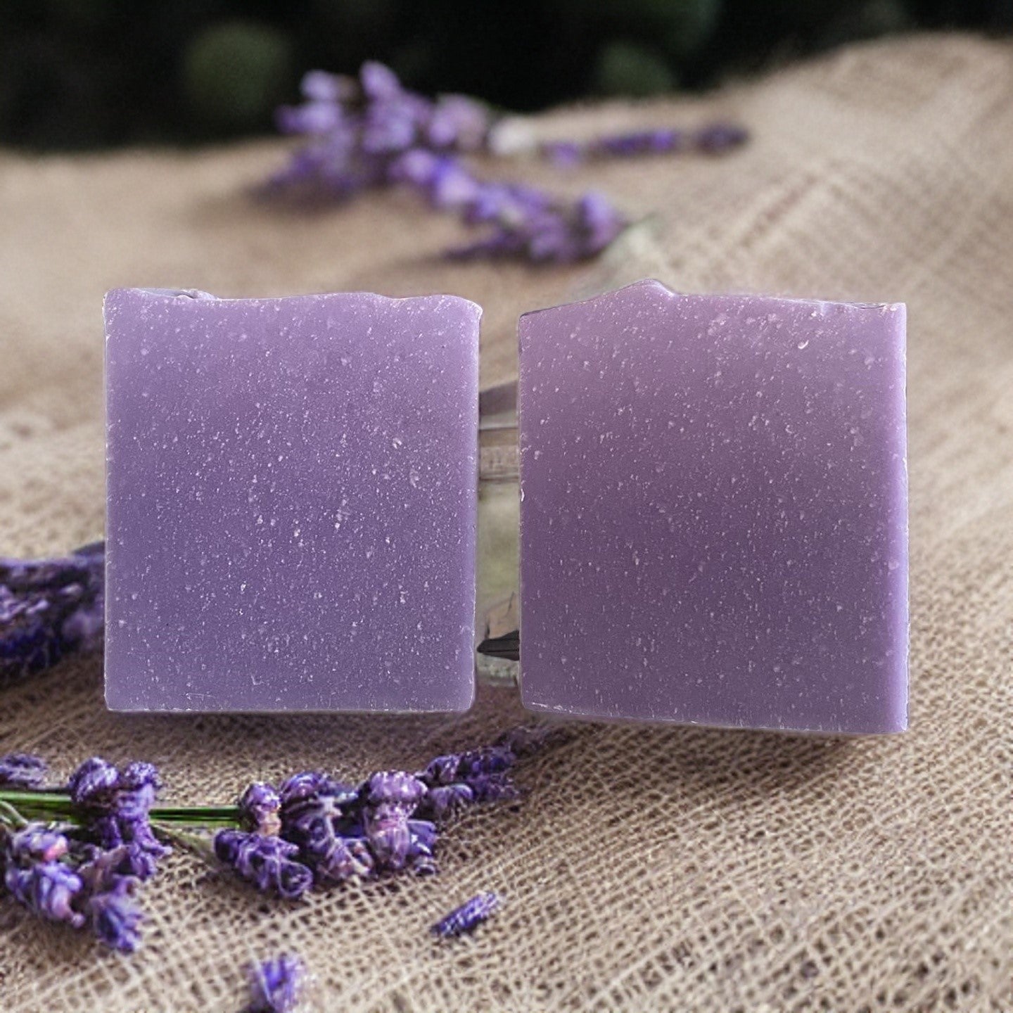 Organic Lavender Soap - Vegan & All-Natural Self-Care