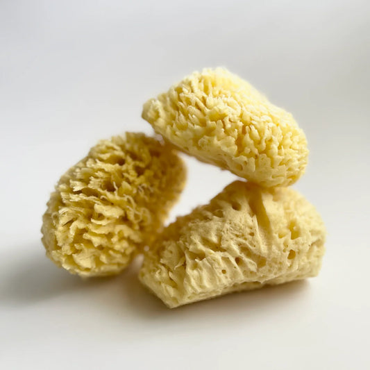 Sea Sponge - All Natural
